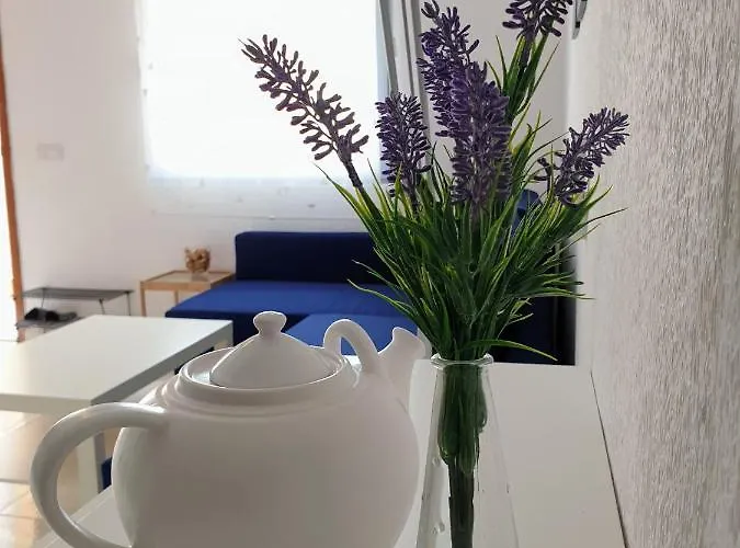 059 Torrelamata 公寓 *